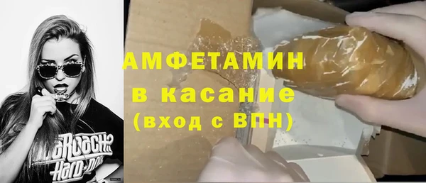 прущие грибы Аркадак