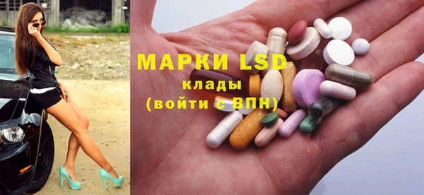 прущие грибы Аркадак