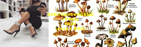 гашишное масло Арсеньев