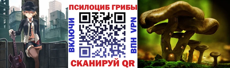 Псилоцибиновые грибы прущие грибы Купить закладки Красный Сулин